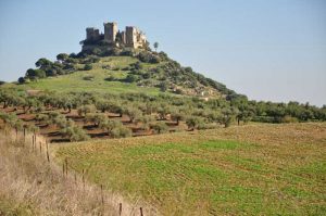 Granada Seville Cordoba itinerary
