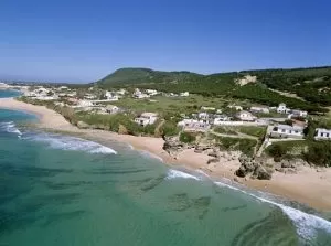 Andalusia mare