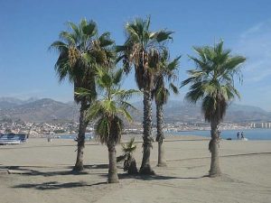 costa tropical