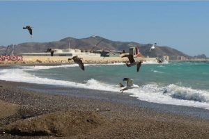 Motril spiagge