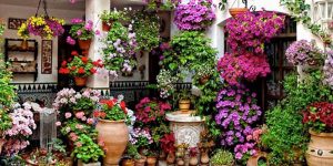 festival de los patios cordoba