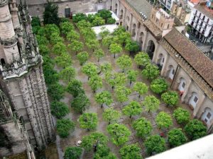 cathedral cordoba