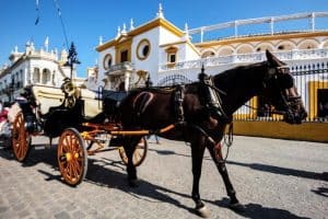 bullring seville free entry