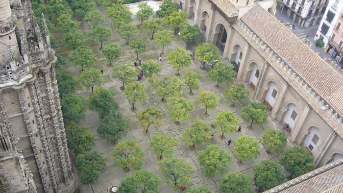 visita cattedrale siviglia