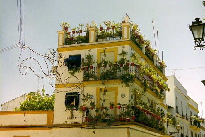 best things to do in Triana Seville