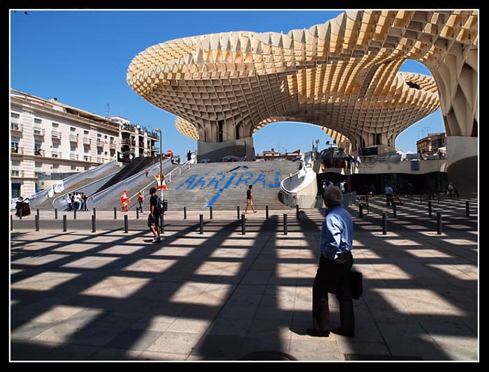 seville mushroom