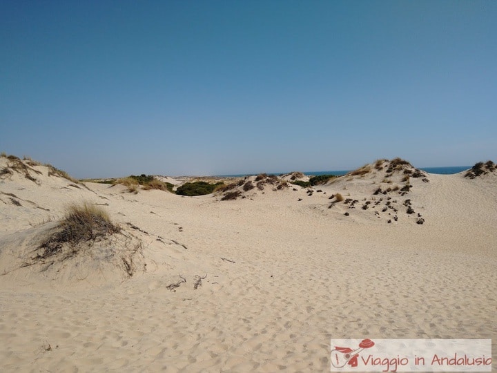 costa de la luz huelva