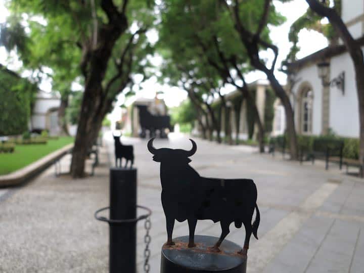 bodega osborne el puerto 