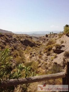 tabernas desert in spain