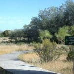 parco donana