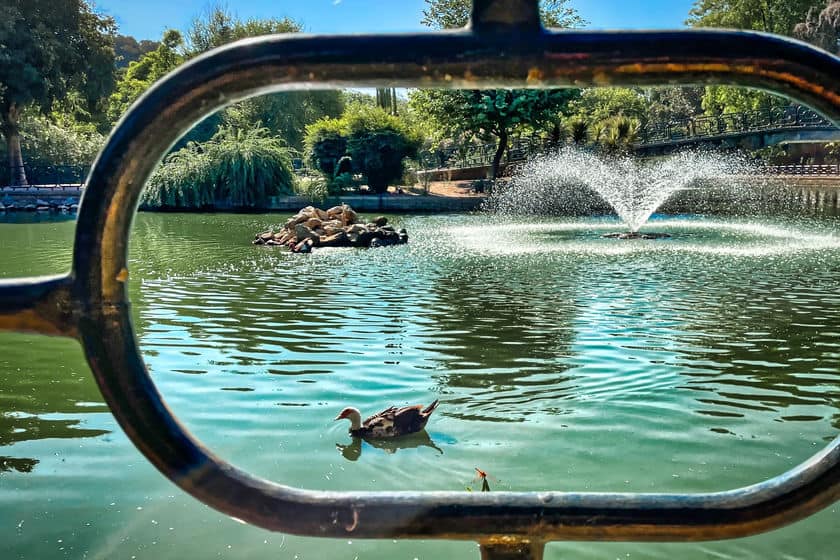Alcazar Gardens Seville