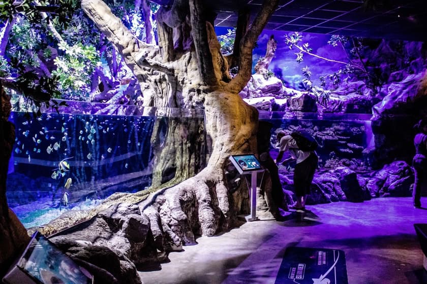 acquario di siviglia orari Seville Aquarium tickets