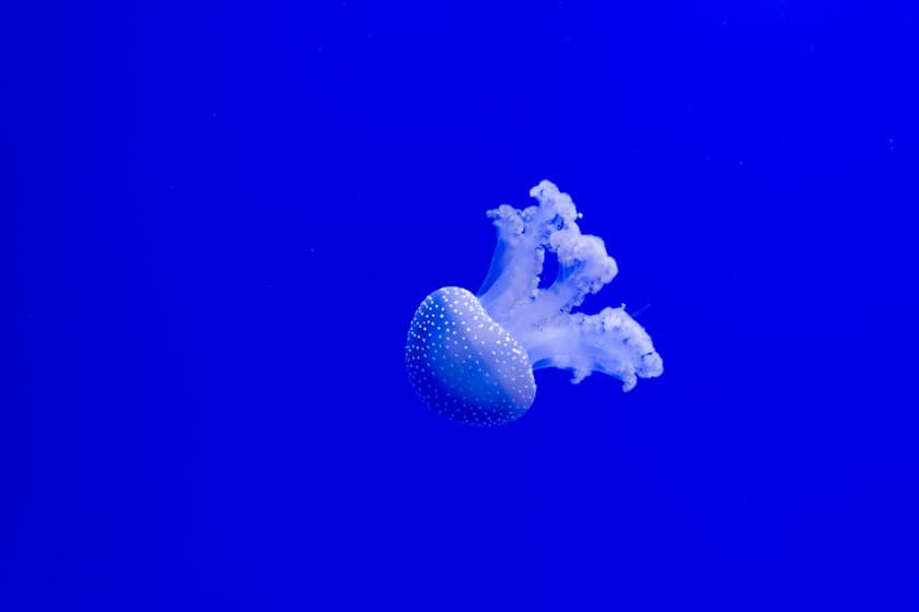acquario di siviglia prezzi Seville Aquarium reviews
