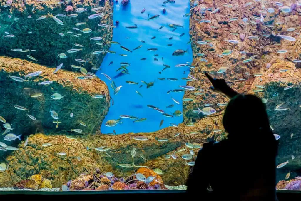 Acuario de Sevilla