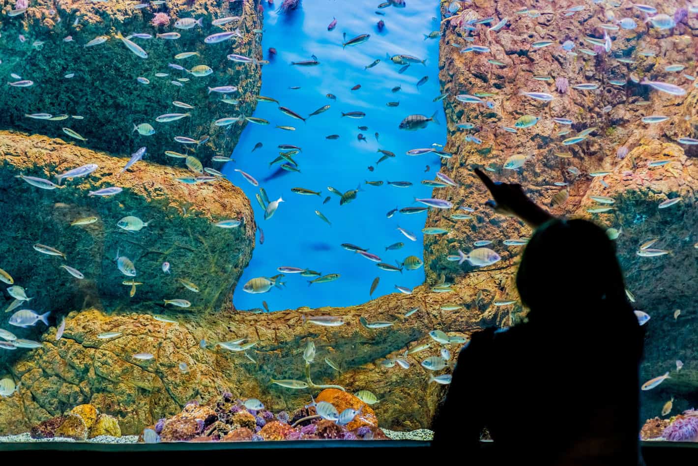 Acuario de Sevilla