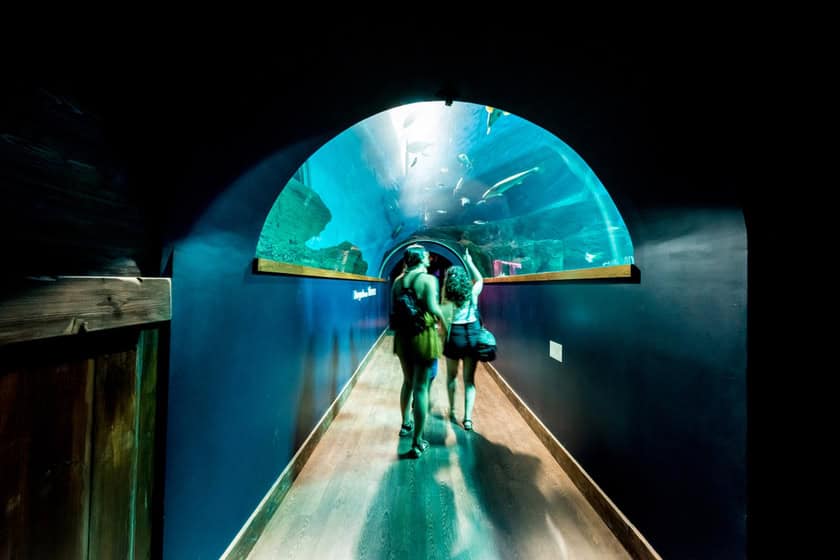 siviglia acquario Seville Aquarium prices
