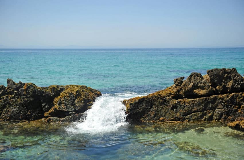 bolonia dune