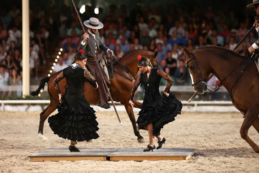 caballerizas reales cordoba