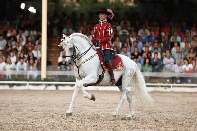 cordoba ecuestre