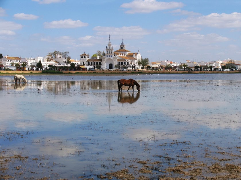 donana el rocio