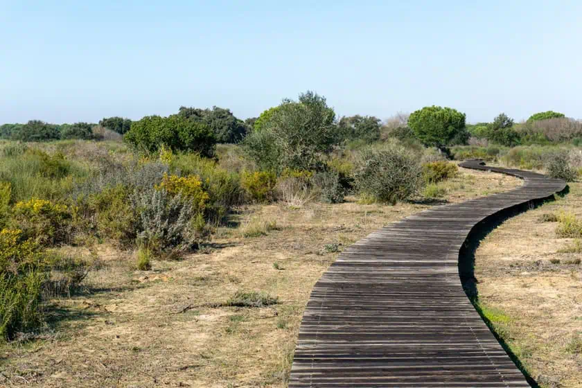 el rocio donana tour