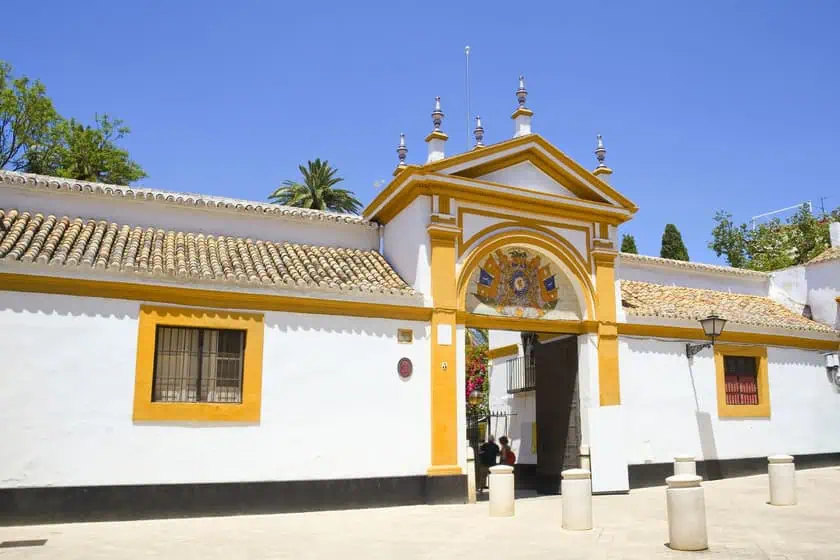 Palacios de las Duenas - Esterno