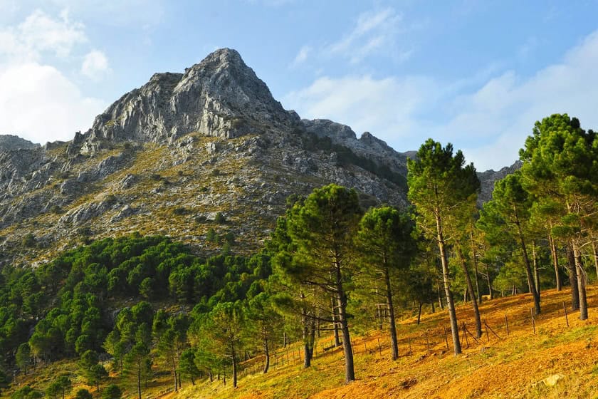 Sierra de Grazalema hiking trails