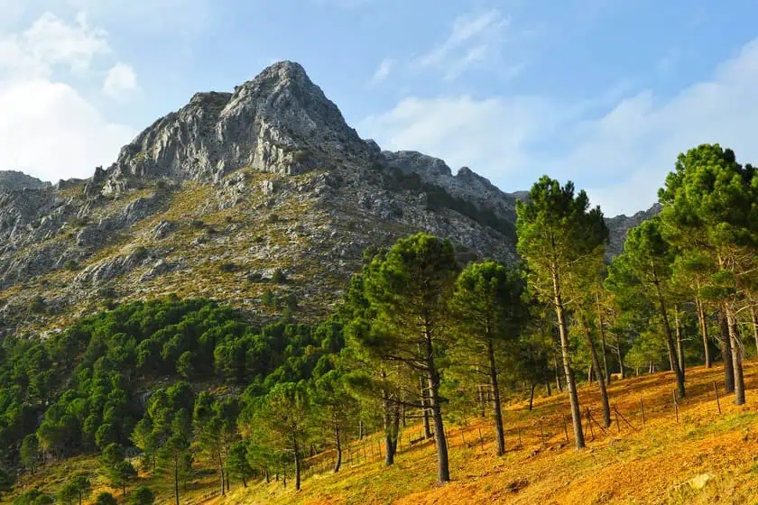 Sierra de Grazalema paesaggio