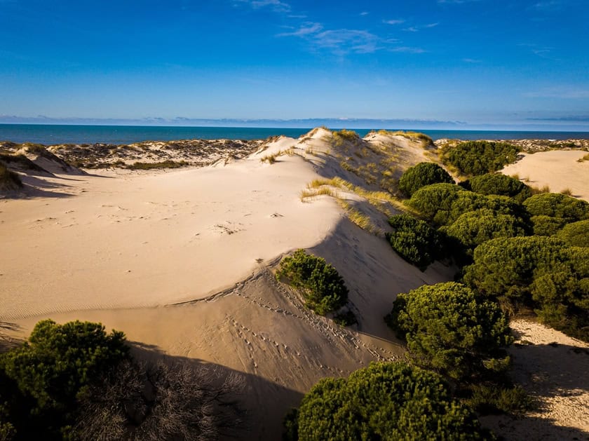 costa de la luz donana